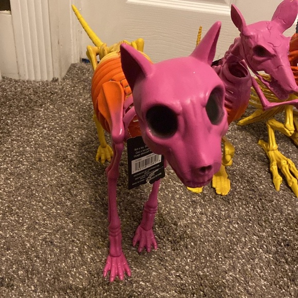 Ashland Halloween Hippie Hallow Skeleton Animals Buzzard Rat 2 Cats Decor NWT - Picture 6 of 6
